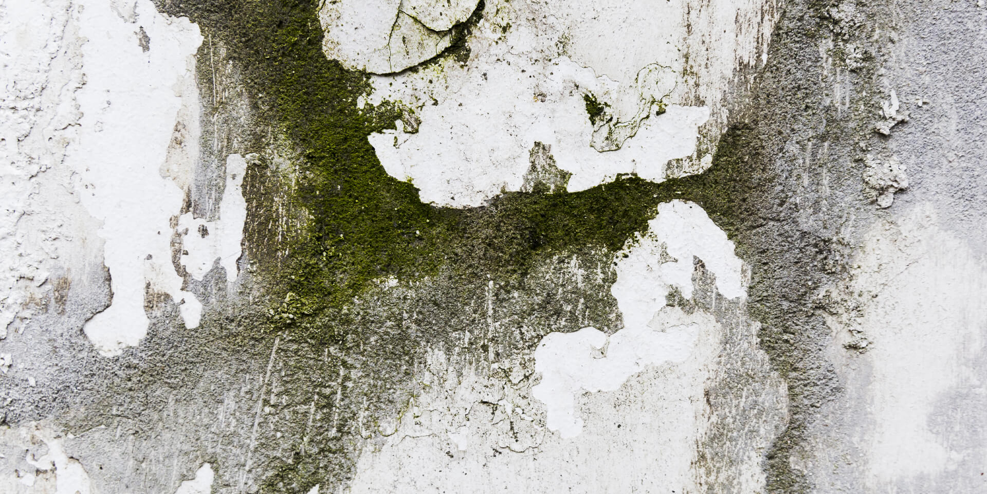 The Importance of Testing for Fire Smoke and Soot Damage