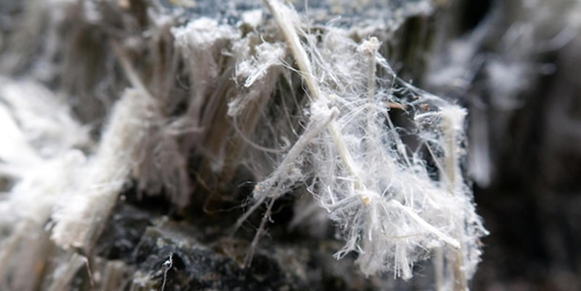 Asbestos & Hazardous Materials