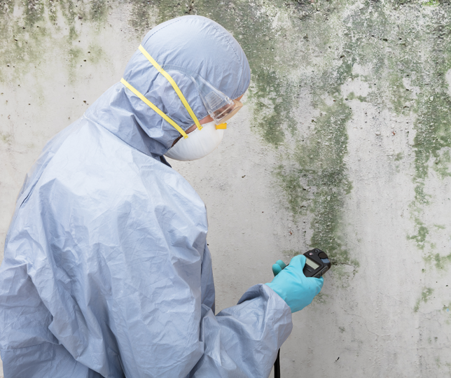 Mould Testing and Indoor Air Quality Testing in Brisbane