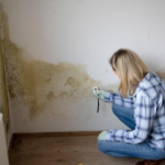 Mould Testing vs Mould Inspection: What’s the Difference