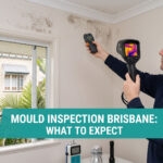 Mould Inspection Brisbane What Happens During an Assessment